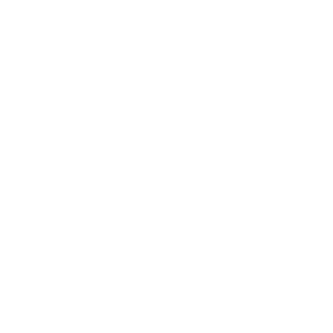 Meta Logo