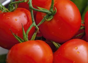 Pomodoro Technique